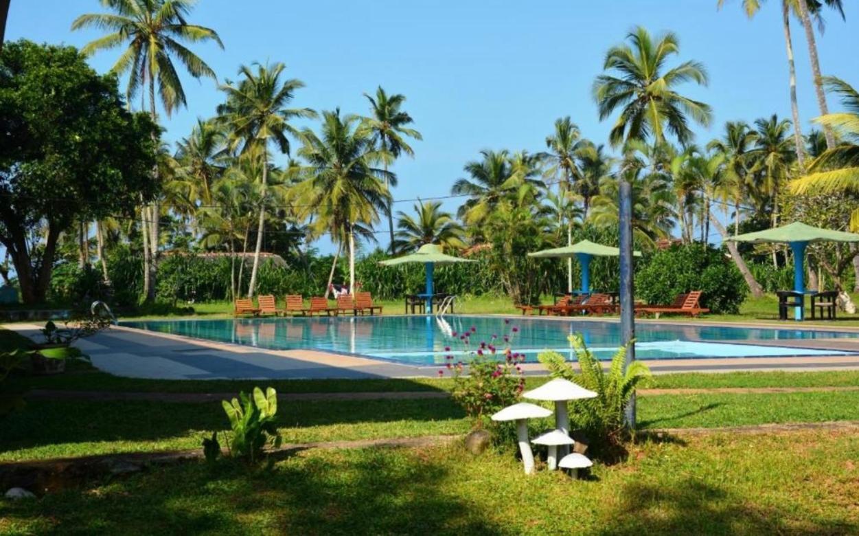 River View Banquet & Resort Ваддува Екстер'єр фото